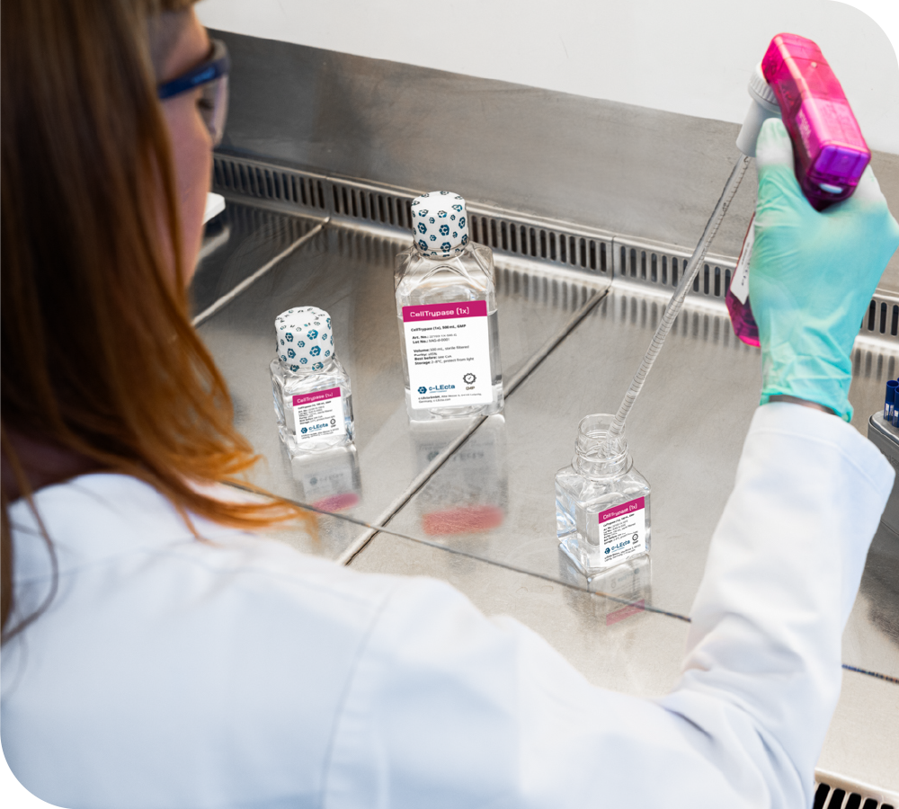 CellTrypase_Working Bench