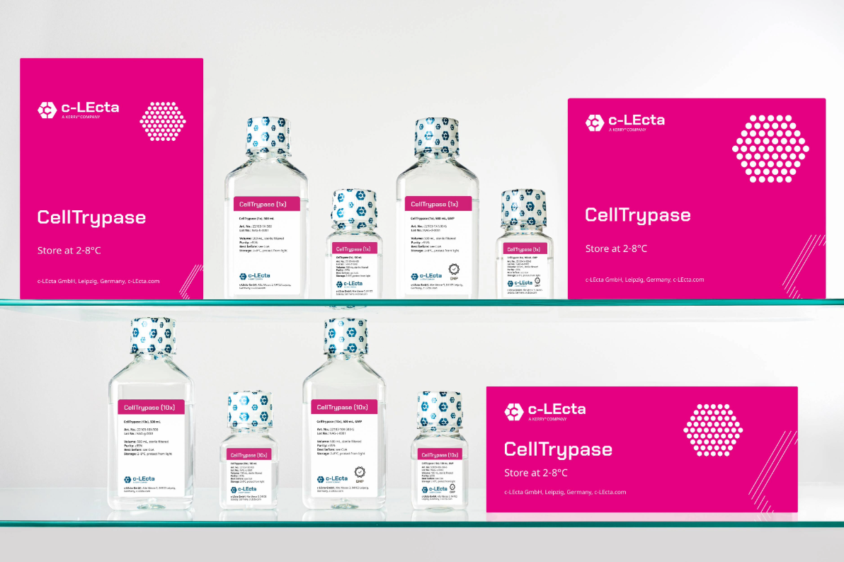 c-LEcta introduces a new GMP Cell Dissociation Enzyme for Biopharmaceutical Manufacturing